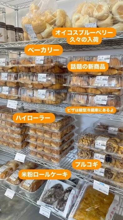 画像284