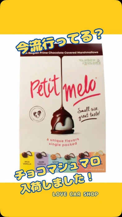 画像294
