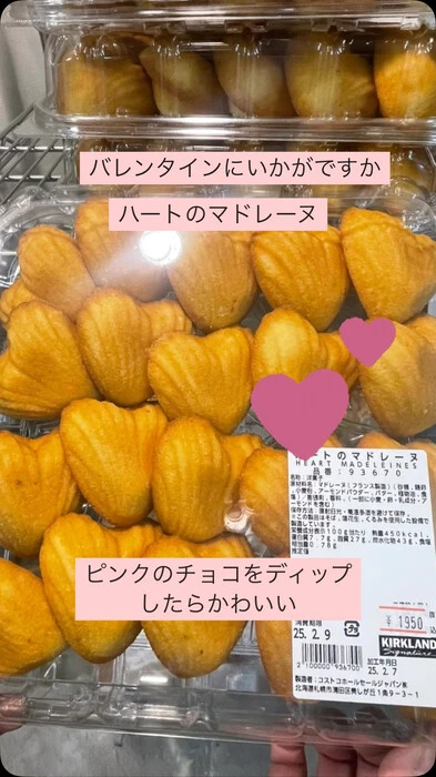 画像296