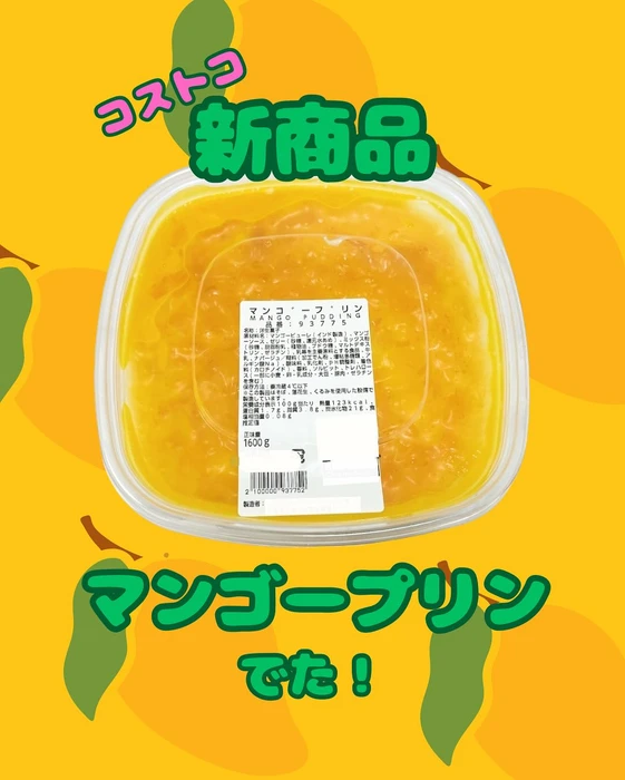 画像477