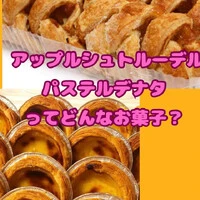 画像482