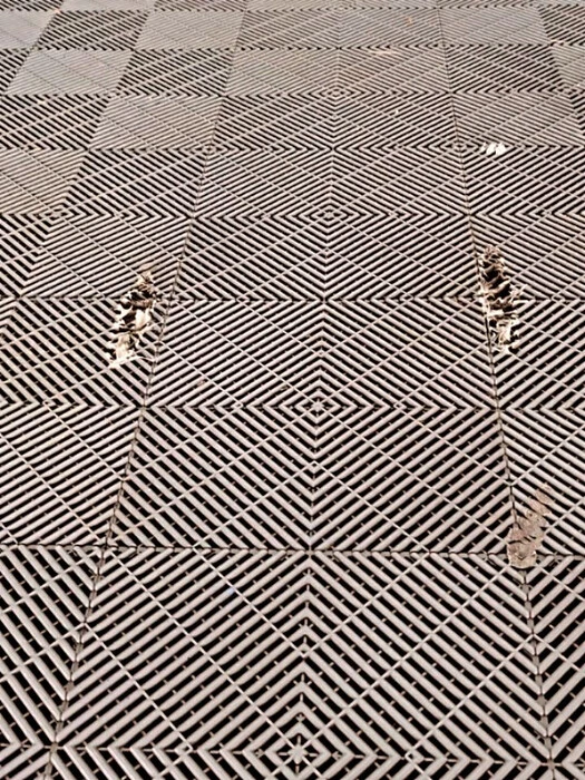 画像688