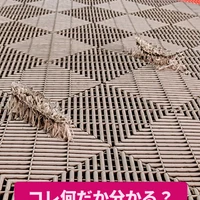 画像689