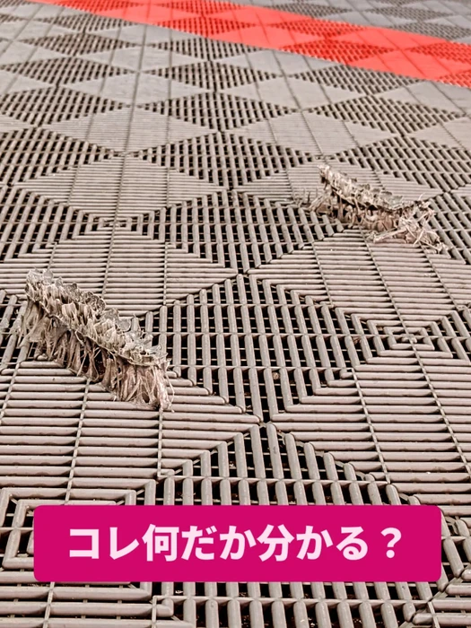 画像689