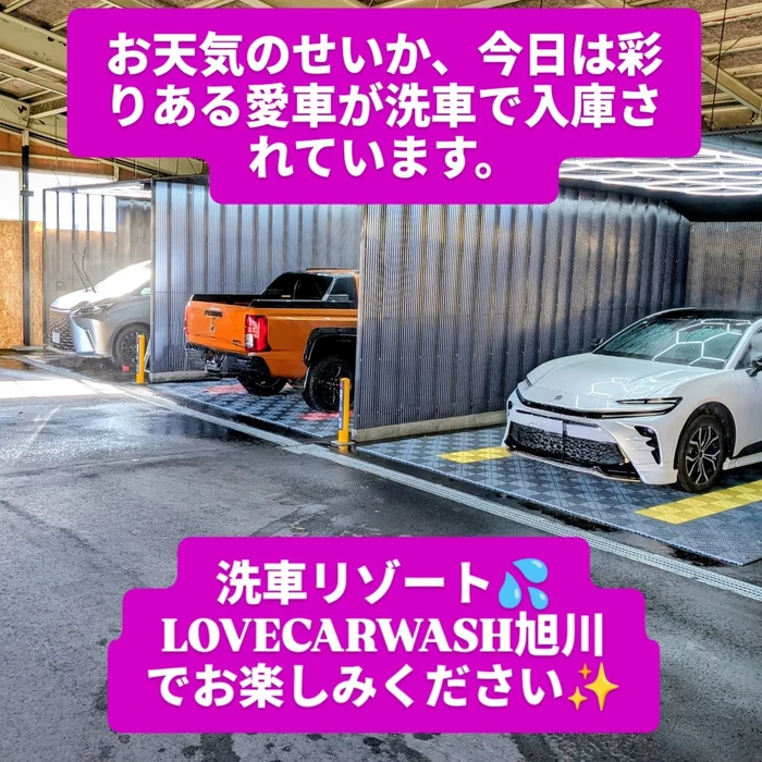 画像707